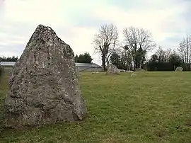 Menhirs of Plumaudière