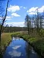 Narewka River runs through a nature reserve in Poland.