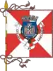 Flag of Santarém