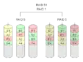 RAID 5+1: Any three drives of this can fail, without data loss.