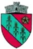 Coat of arms of Dărmăneşti