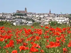 Rodez, general view.