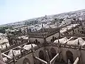 Cathedral rooves as seen from the Giralda.