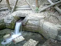 Spring of river Tiber on Monte Fumaiolo.