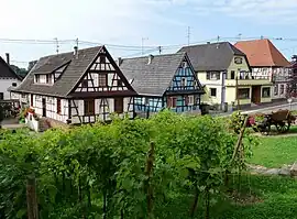 The half-timbered houses and vineyards in Soufflenheim