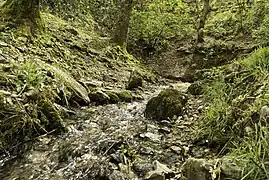 Source of the Aveyron.