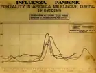 Number of deaths in New York City, Berlin, Paris, and London (Museum of Health & Medicine, Washington), c. 1918–1919