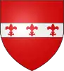 Coat of arms of Santa Venera