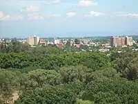 Downtown as seen from Cerro La Virgen.