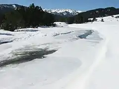 Frozen Têt near Bolquère