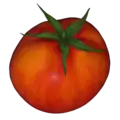 A tomato, a type of berry.