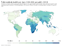 World map with sub-Saharan Africa in darker shades of blue, marking prevalences above 250 per 100,000 people, and with North America, Australia, Europe, and Western Asia in white, marking prevalence below 20 per 100,000 people. Asia is light green and shades of blue, marking prevalence around 50 to 500 per 100,000 people. South America is mostly light green.