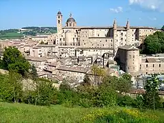 Urbino.