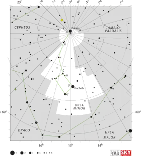 Chart showing star positions and boundaries of the Ursa Minor constellation