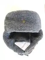 Ushanka