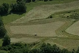 Making hay, Vallée de la Maronne, Cantal.