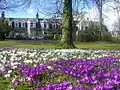 Crocuses blooming in Victoria Park