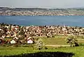 View of Wädenswil and the Lake Zürich