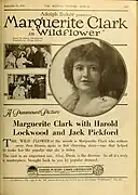 Wildflower (1914)