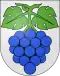 Wynau