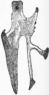 1911 Britannica-Bird-Chick’s sternum.png