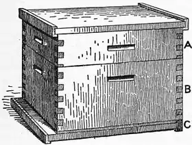 1911 Britannica - Bee - Langstroth Hive.png