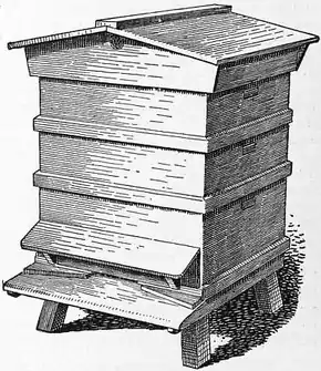 1911 Britannica - Bee - W.B.C. Hive.png