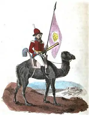 A Camel Artilleryman.jpg