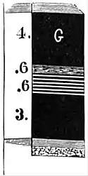 AmCyc Coal - Primrose group.jpg