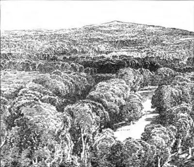 Ashdown Forest, from East Grinstead.png