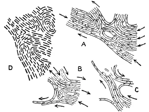 Bacteriology 22.png