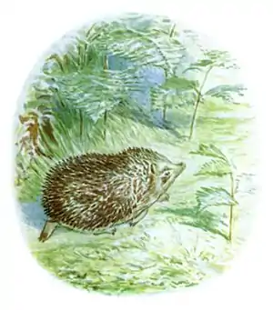 BeatrixPotter MrsTiggyWinkle-27.jpg