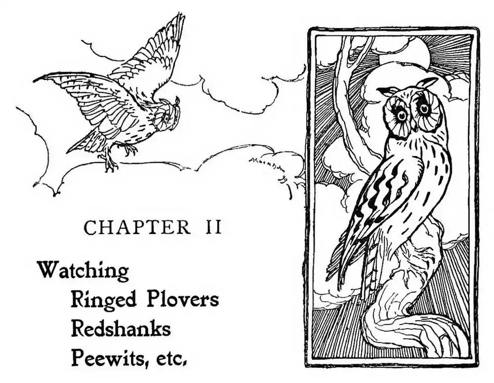 image header chapter II by Arthur Rackham