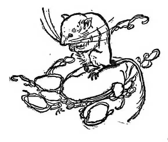 illustration at end of ch. II, of a mouse by Arthur Rackham