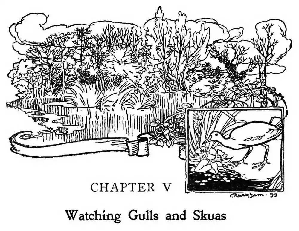 image header chapter V by Arthur Rackham