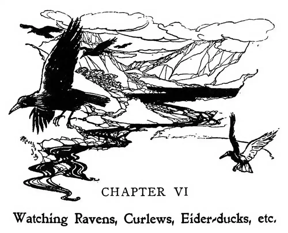 image header chapter I by Arthur Rackham