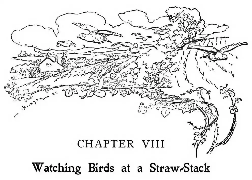 image header chapter I by Arthur Rackham