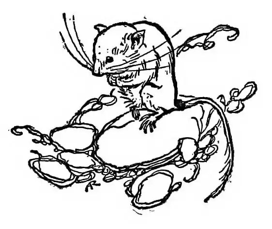 image of mouse at end of chapter X by Arthur Rackham