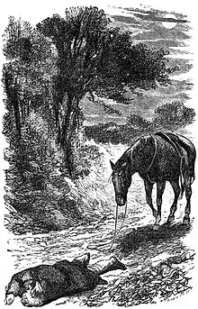 Black Beauty (1877), page 6.jpg