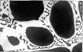 Britannica Alloys Plate Figure 03.jpg