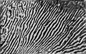 Britannica Alloys Plate Figure 11.jpg