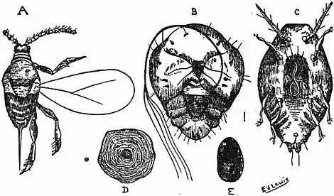 Britannica Economic Entomology 4.jpg