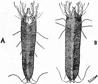 Britannica Economic Entomology 6.jpg