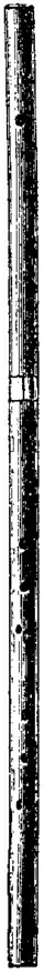 Britannica Flute Bass Flute Verona.png