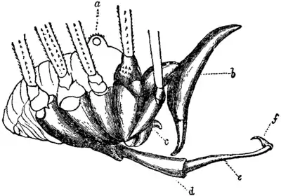 Britannica Harvester.png