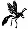 Britannica Wasp 4.jpg