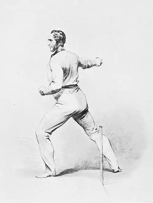 Cricket (Hutchinson) 0140.jpg