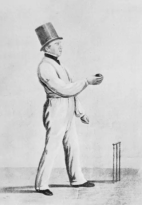 Cricket (Hutchinson) 0165.jpg