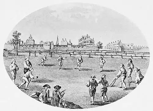 Cricket (Hutchinson) 0181.jpg