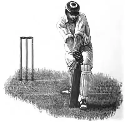 Cricket (Steel, Lyttelton) 0070.jpg